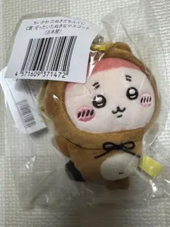 たぬきだもんくじ C賞 古本屋