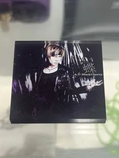 Acid Black Cherry マグネット CRISIS シークレット acid black cherryアクリルマグネットBシークレット CRISIS - メルカリ