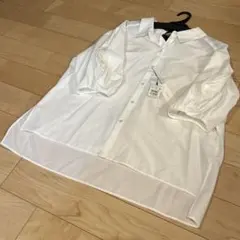 Item thumbnail for item 4af1a827-ad7f-4518-9ad7-9712e9985573