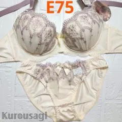 E75 L 新品未使用 ブラショーツセット 956101 クリーム フラワー刺繍
