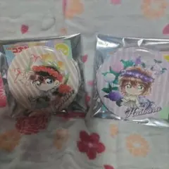 【名探偵コナン】江戸川コナン、灰原哀【缶バッチセット】