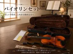 鈴木バイオリン 1/2 No230 2007年 良品セット メンテ済 - メルカリ