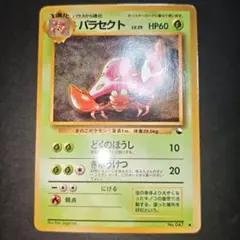 2026年最新】セット：拡張シート第1弾(青版) ポケモンカードゲームの