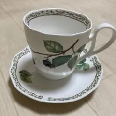 Noritake ノリタケ ロイヤルオーチャード ティーカップ・ソーサーセット