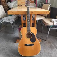Morris アコースティックギター F-20