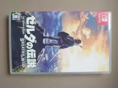 ゼルダの伝説 ブレス オブ ザ ワイルド