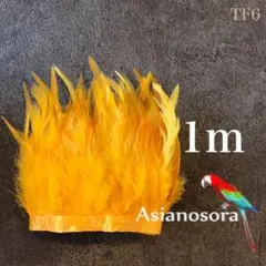 Item thumbnail for item a7eaa67d-c09b-4ff0-b76a-f7e61c0888e8