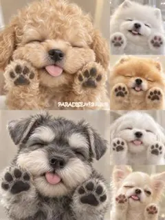 PARADISEパネル生地　 犬柄　P719