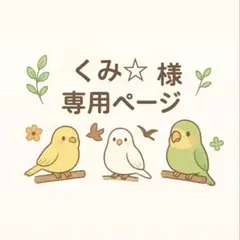 くみ☆様専用ページ　花束バードトイ