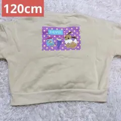ポケモン イーブイ 裏起毛トレーナー 120cm