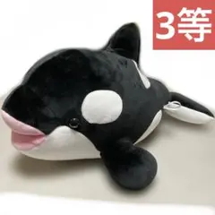 神戸須磨シーワールド オルカくじ 3等 シャチ ぬいぐるみ マスコット