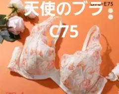 Item thumbnail for item 853b2fa3-d1b6-46ab-9107-c97d04e526d5