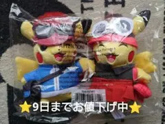 ピカチュウ 25周年 ホウエン地方 ぬいぐるみ Pikachu ペア j2A9 - メルカリ