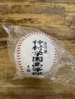 第92回全国高校野球選手権大会 記念ボール - メルカリ