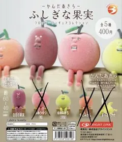 かんだあきら ふしぎな果実 フロッキーフィギュア