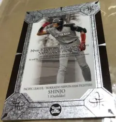 BBM 2005 Touch the Game 033 SHINJO 新庄剛志