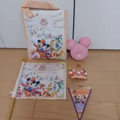 ディズニー　40周年　まとめ
