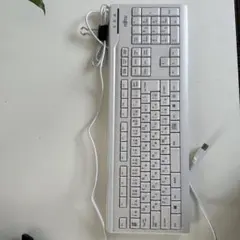 Item thumbnail for item 8b2f36ba-f1cc-4268-99c2-de28e37bd8a6