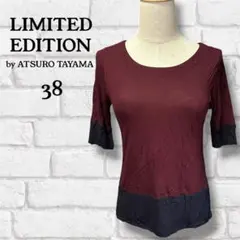 LIMITED EDITION トップス ボルドー系 38 レディースのサムネイル
