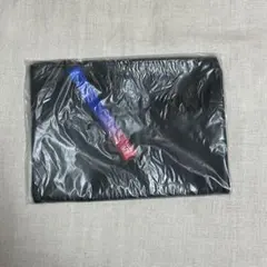 亀と山P ポーチ