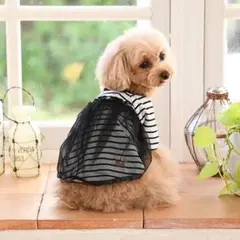 Item thumbnail for item e0e0c5f2-b21b-4d7a-9ca8-de27730883a3