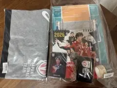 Item thumbnail for item 31d8ac76-529b-437f-af4f-878cc78933be