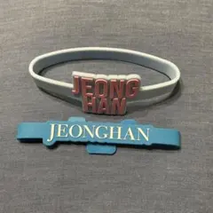SEVENTEEN セブチ　ジョンハン　ペンライトアクセサリー