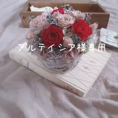 アルテイシア様専用☆
