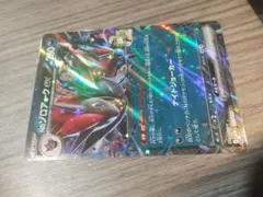 ゾロアークEX & テラパゴス セット