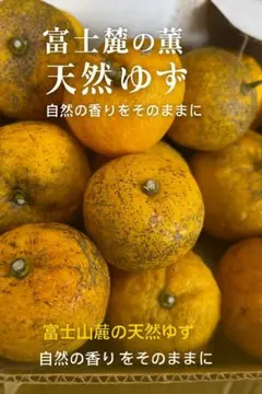 2025年最新】無農薬 ゆずの人気アイテム - メルカリ