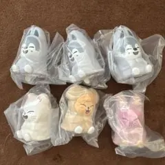 skzooライトマスコット 6個セット