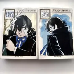 Item thumbnail for item 8c6821e4-be09-4ed3-bcc6-5e0f10c22556