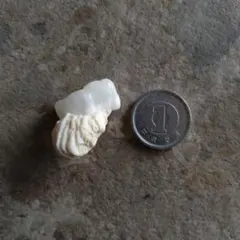 2025年最新】イシカブラの人気アイテム - メルカリ