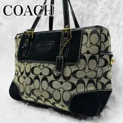 2026年最新】COACH 素材：キャンバス/コットン レディース トート