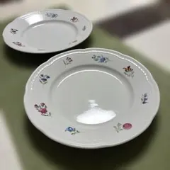【希少・廃盤】リチャードジノリ ボンジョルノフラワー プレート 2枚セットのサムネイル