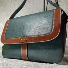 BALLY バリー　ショルダーバッグ　ゴールド金具　オールレザー　希少カラー