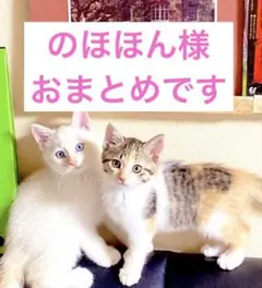 のほほん様 リクエスト 2点 まとめ商品