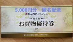 ヤマダ電機　お買い物優待券5,000円分（500円×10枚） 10枚