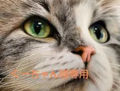 くーちゃん様専用　ロイヤルカナン　健康的な尿　と　毛玉ヘア　400g1袋ずつ　1