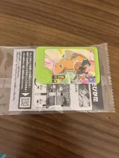 ポケモンフレンダ メガカイリュー フレンダピック