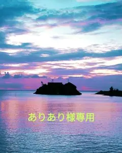 ありあり様専用