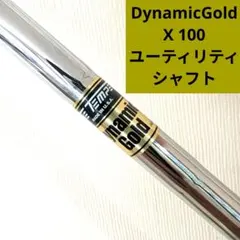 2025年最新】ダイナミックゴールド x100の人気アイテム - メルカリ