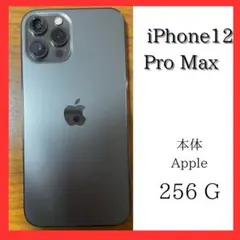 iPhone12 Pro Max 本体