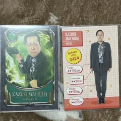 Item thumbnail for item c6dcd8d8-8e8b-4355-bb4a-8231d7421c58