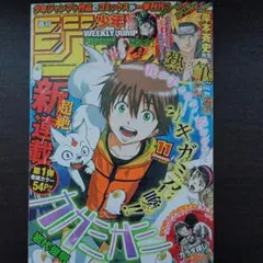 週刊少年ジャンプ 2002年52号 ナルト表紙 - メルカリ