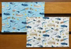【海の生き物柄】ランチョンマット 2色 2枚セット 25x35