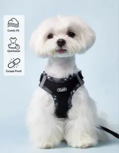 犬用ハーネス＆リードセット Sサイズのサムネイル