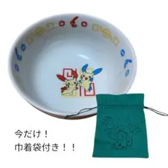 値下げ❗️ポケモンセンターオリジナルどんぶりプラスルマイナン 巾着袋付き　送料無料