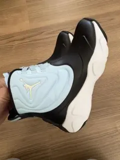 ジョーダン　長靴　エアジョーダン　ナイキ　ノースフェイス　ヌプシ　20cm