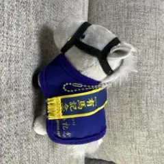 ゴールドシップ